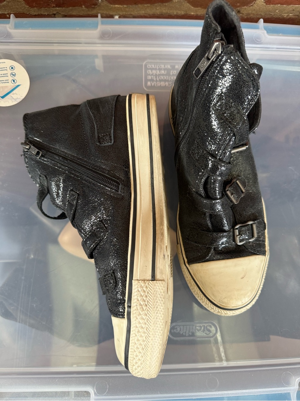 Ash glam Black High-Top Women's Sneakers with Buckle Straps - Picture 2 of 5